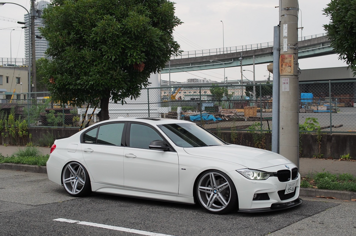 M-Performance Carbon Fiber Side Skirts - BMW F30/F31 3-Series