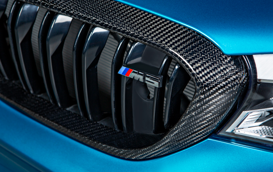 Carbon Fiber Dual Slat Kidney Grille Set - BMW F90 M5