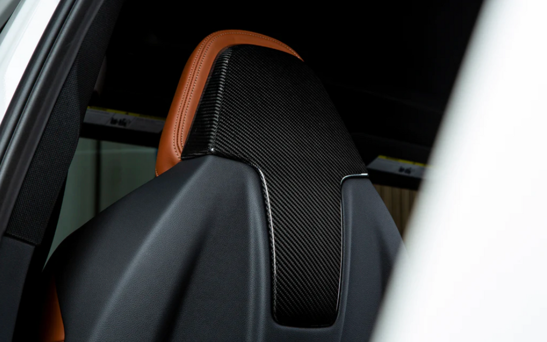 Dry Carbon Fiber Seat Backing - F91/F92/F93 M8 & G80 M3